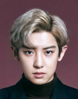 Park Chan Yeol