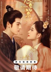 دانلود سریال Blossom 2024