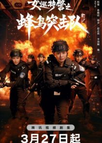 دانلود سریال Sisters in Arms 2025