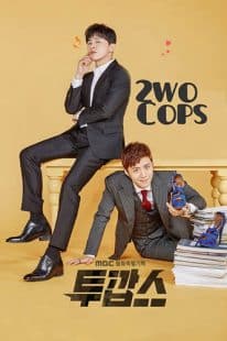 دانلود سریال Two Cops 2017