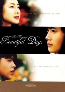 دانلود سریال Beautiful Days 2001