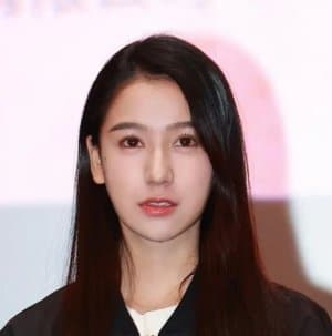 Huang Ting