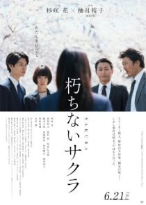 دانلود فیلم Sakura 2024