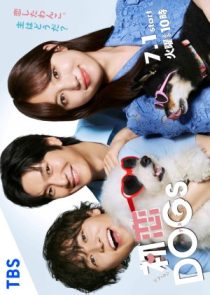 دانلود سریال Love Is for the Dogs 2025