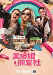 دانلود سریال The Beautiful Lady Detective Agency 2025
