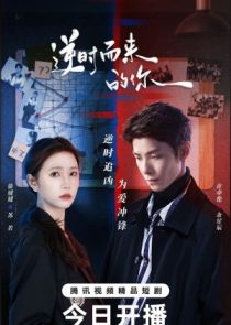 دانلود سریال Reversing Time 2025