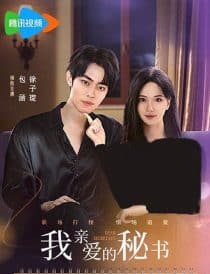 دانلود سریال Dear Secretary 2025