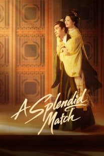 دانلود سریال A Splendid Match 2026