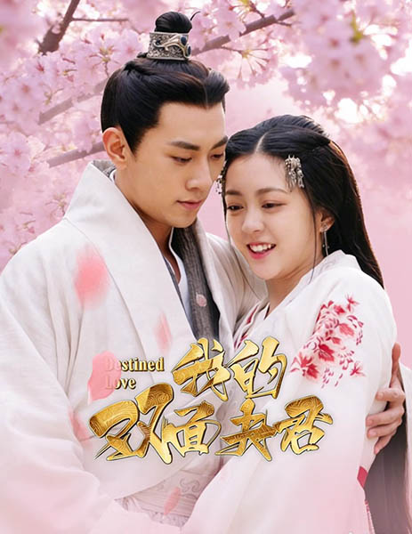 دانلود سریال Destined Love 2026